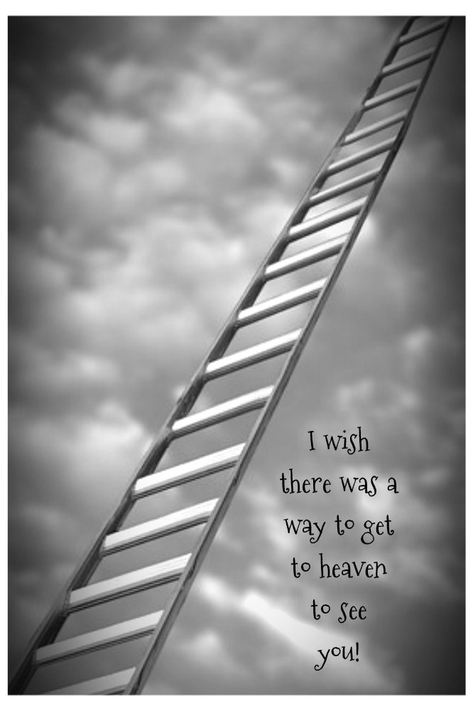 pizap.com10.090845611877739431374346507948