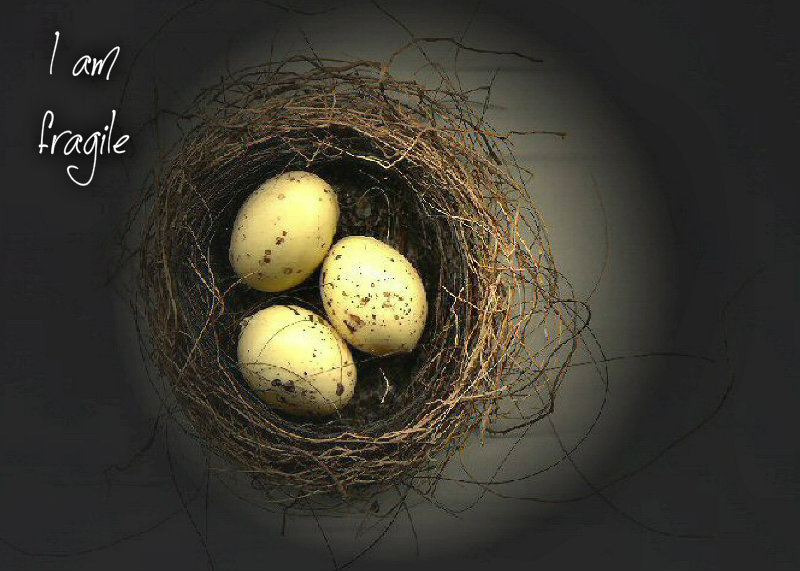 pizap.com10.095404764637351041377359022314