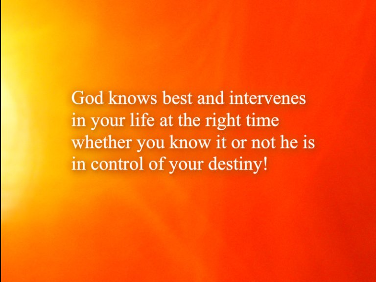 pizap.com10.098330699373036621376337084863