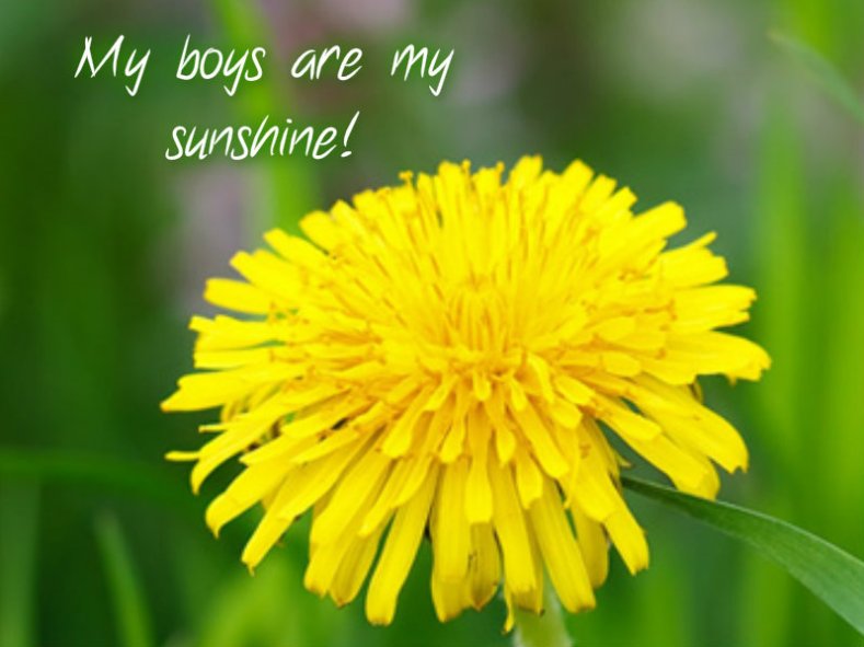 pizap.com10.105145564768463371374201258920