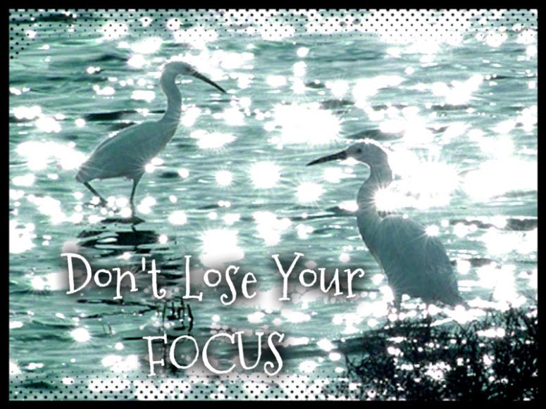 pizap.com10.105428535025566821373864371035