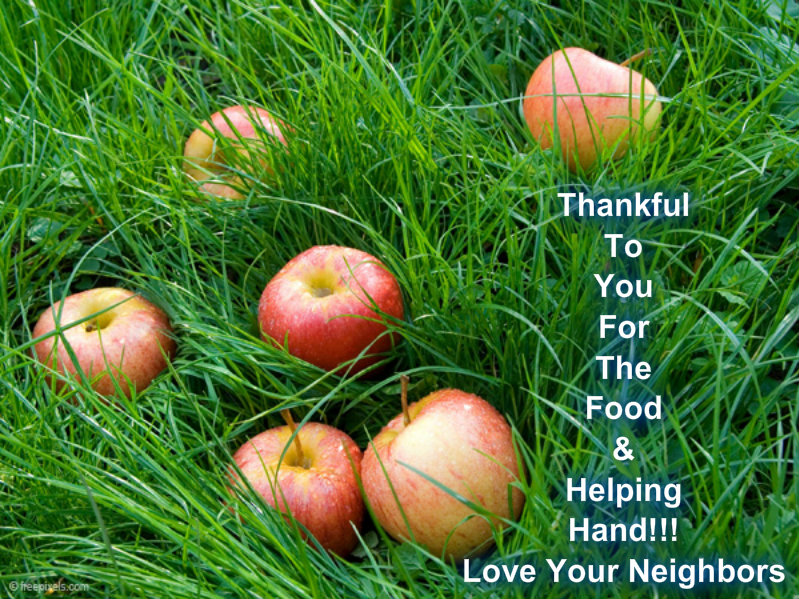 pizap.com10.105852288194000721373408761561