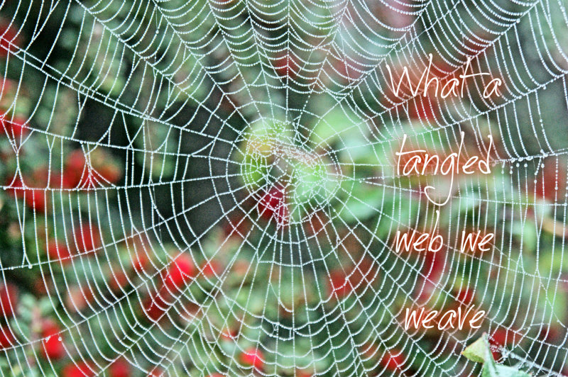 pizap.com10.106012583244591951374510540570