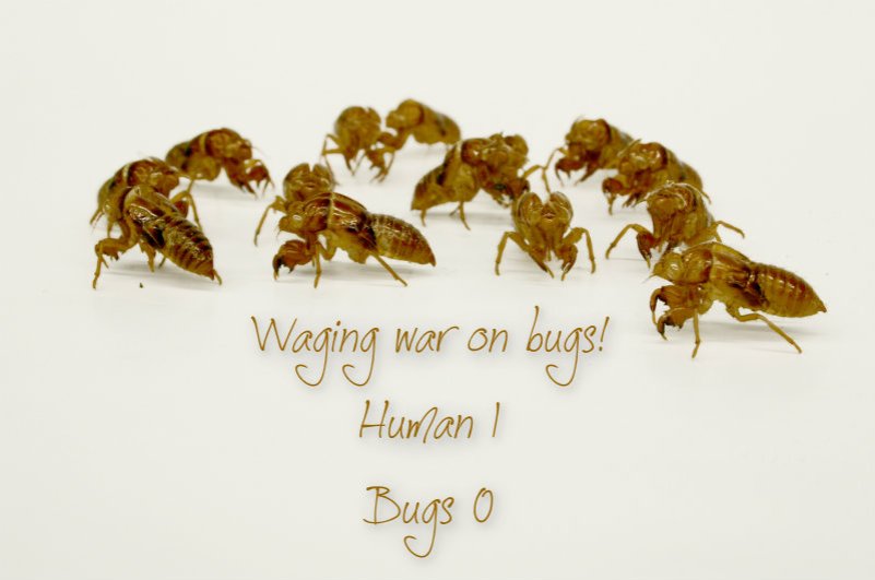 pizap.com10.115018721669912341376842416307