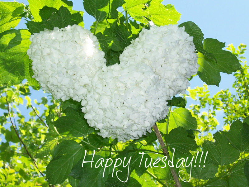 pizap.com10.115471817553043371376412847623