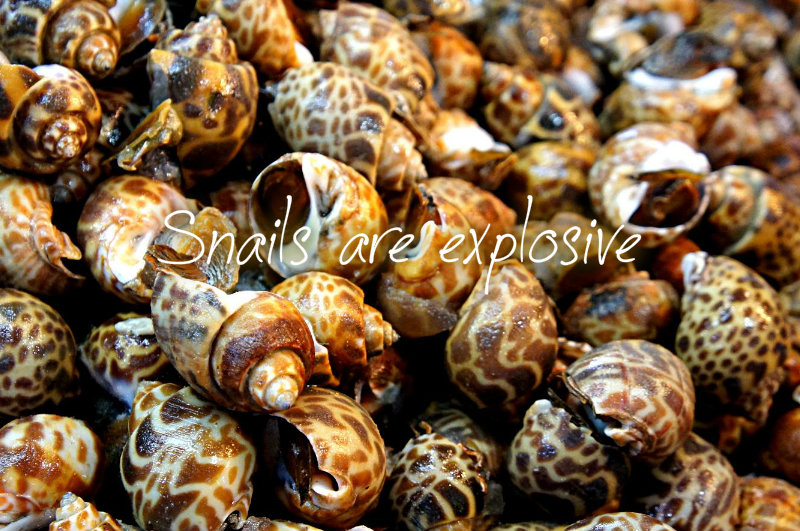 pizap.com10.119314317591488361374425516751