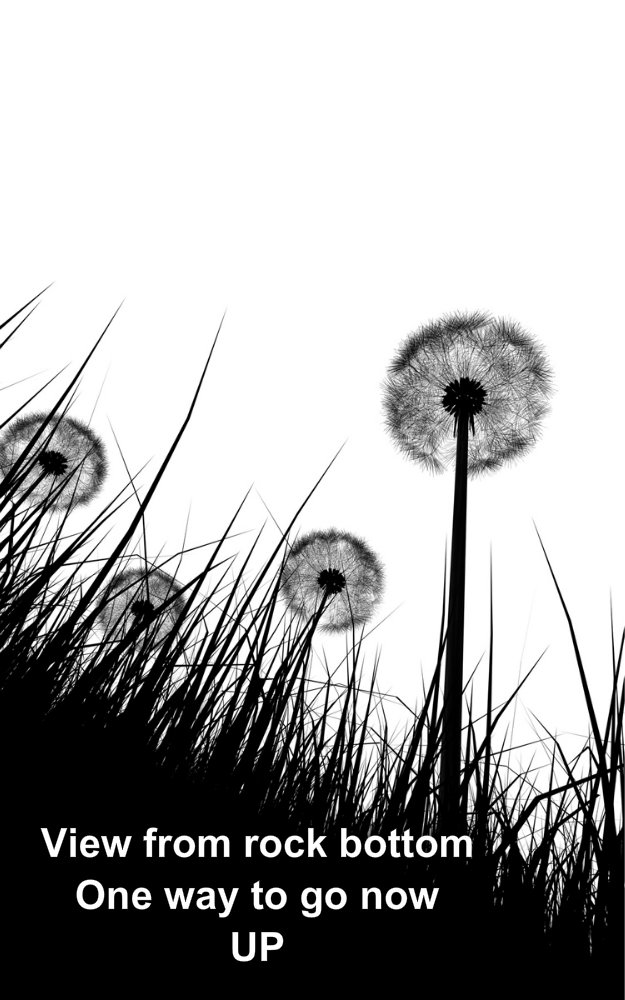 pizap.com10.131607483606785541373662278044