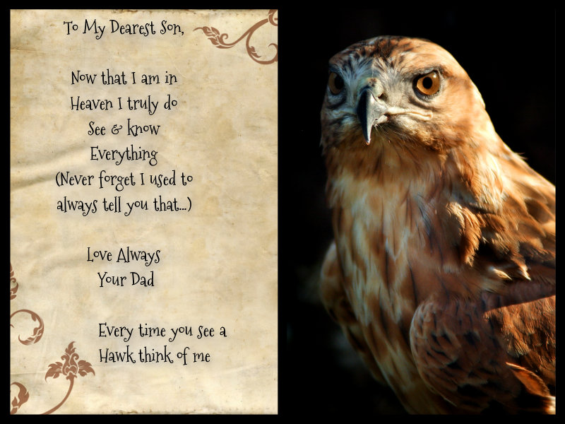 pizap.com10.16305088484659791373648258578