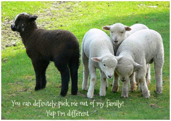 pizap.com10.163503014482557771379735146945