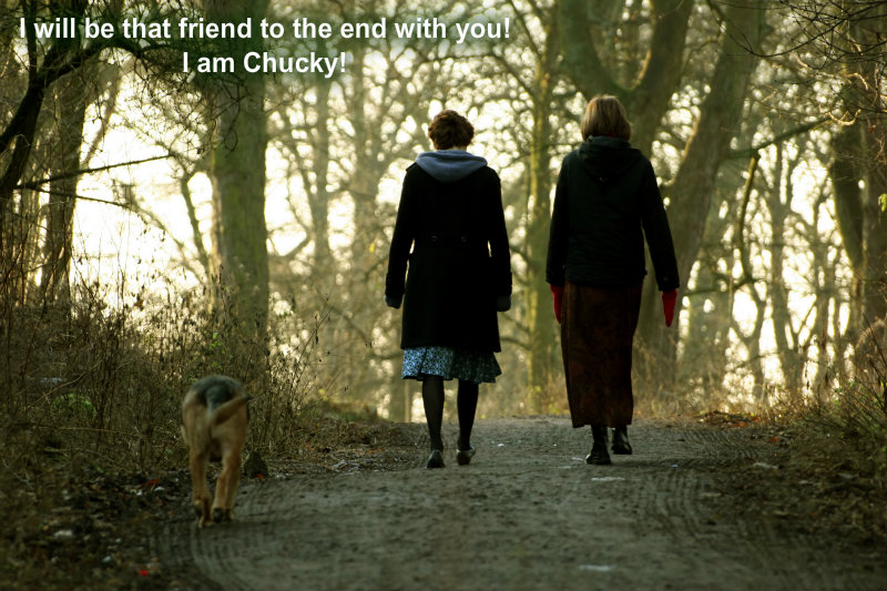 pizap.com10.164489975199103361377367815379