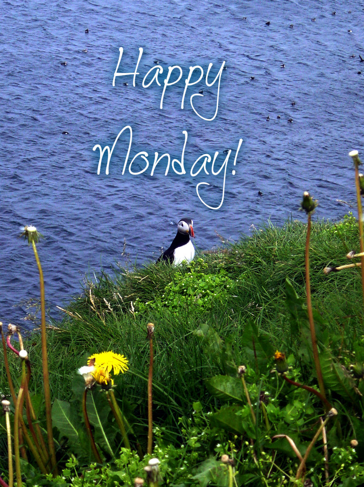 pizap.com10.17199152661487461375718739959