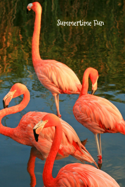 pizap.com10.177251814864575861374443757898