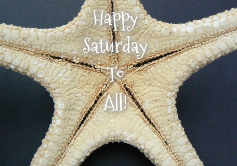 pizap.com10.180659089703112841374330771890