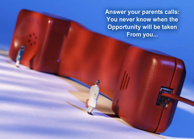 pizap.com10.18118348484858871373641889002