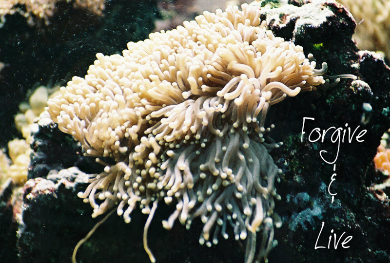 pizap.com10.1851168735884131375150075044