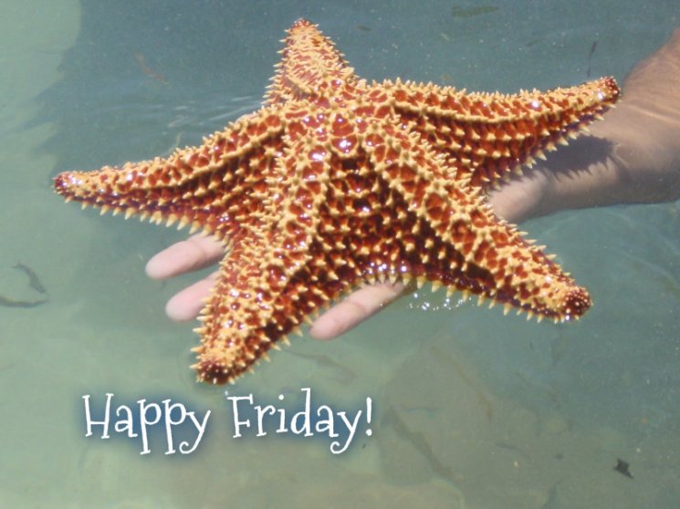 pizap.com10.199949332978576421375455562618