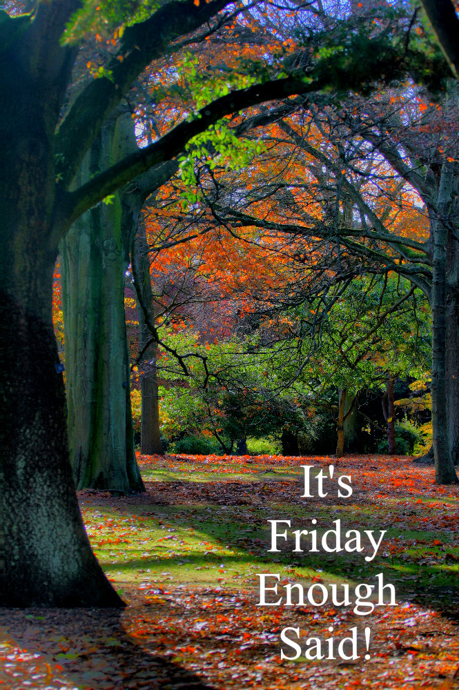 pizap.com10.20084436703473331376668344178