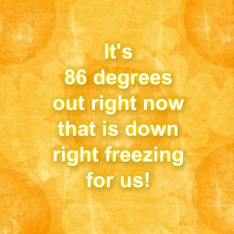 pizap.com10.203365561552345751377456902236