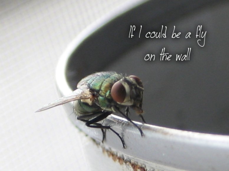 pizap.com10.218520455993711951376842860875