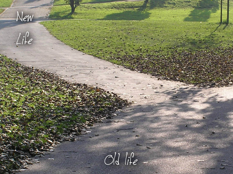 pizap.com10.22495407145470381376846914139