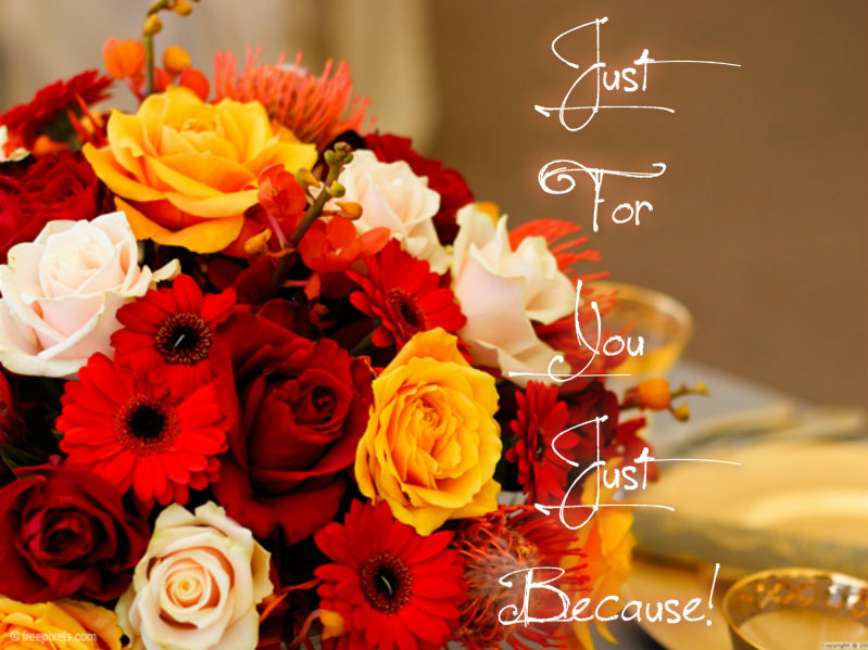 pizap.com10.22984448587521911374168453233