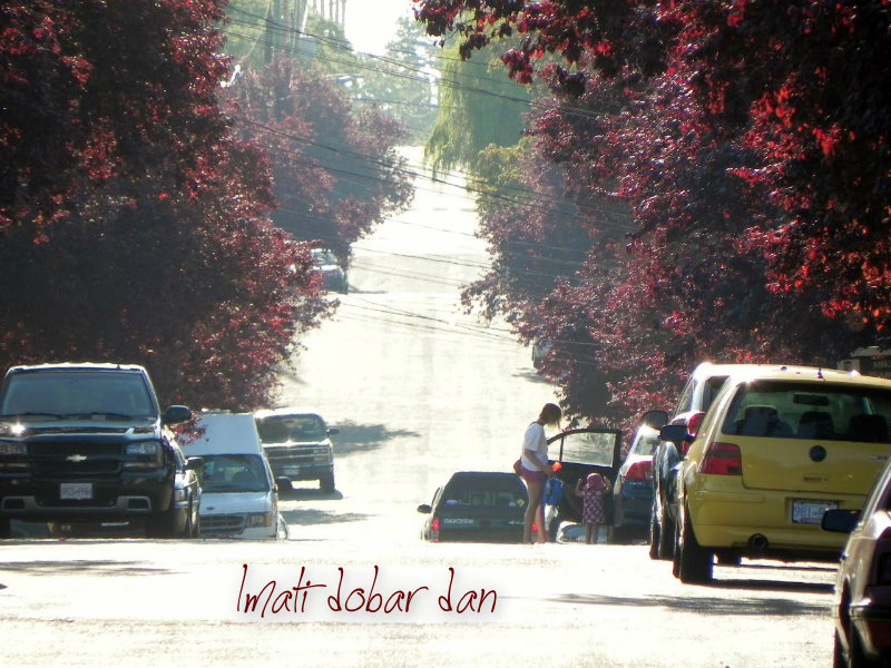 pizap.com10.232215000316500661376845333614