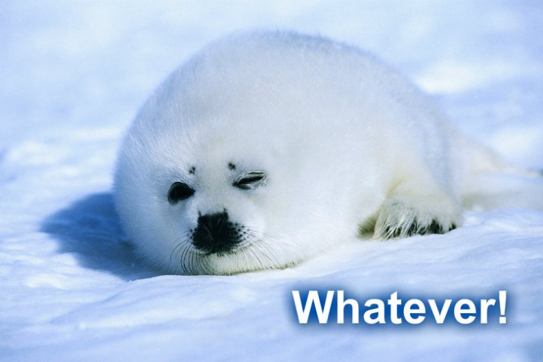 pizap.com10.233732639346271751372868654069