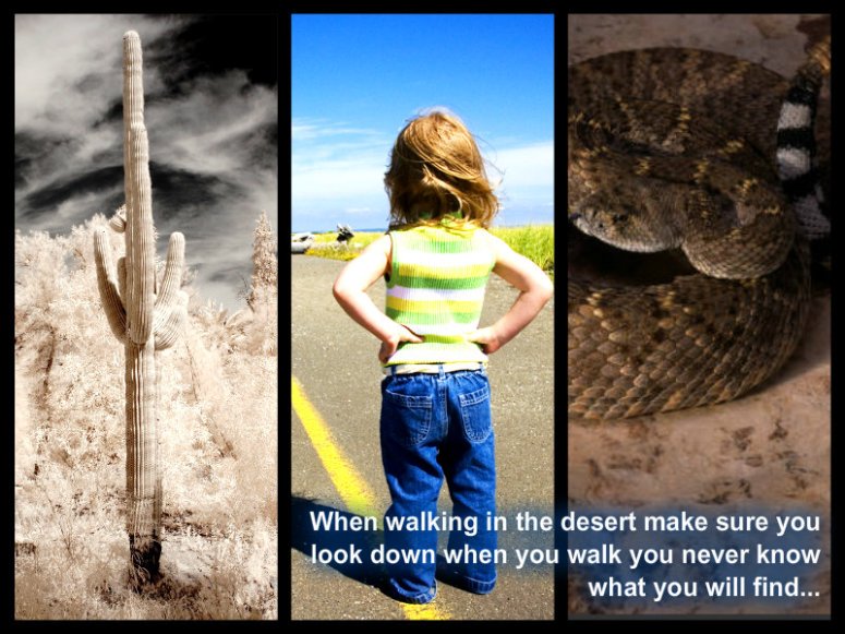 pizap.com10.234278743155300621372825521114