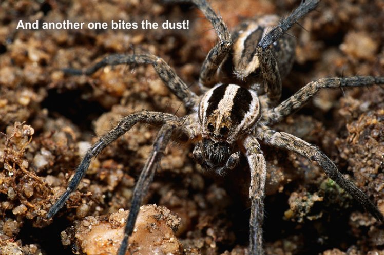 pizap.com10.23857028270140291373660669850