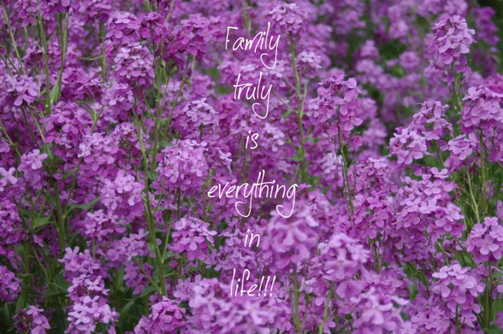 pizap.com10.2460719132795931376785098957