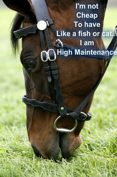 pizap.com10.249112667050212621373383864813