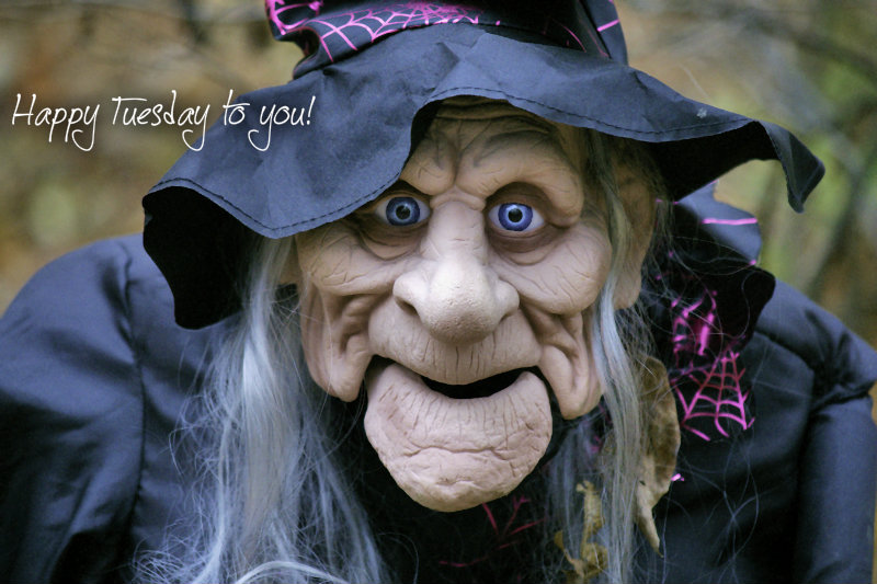 pizap.com10.253779605962336061377008328575