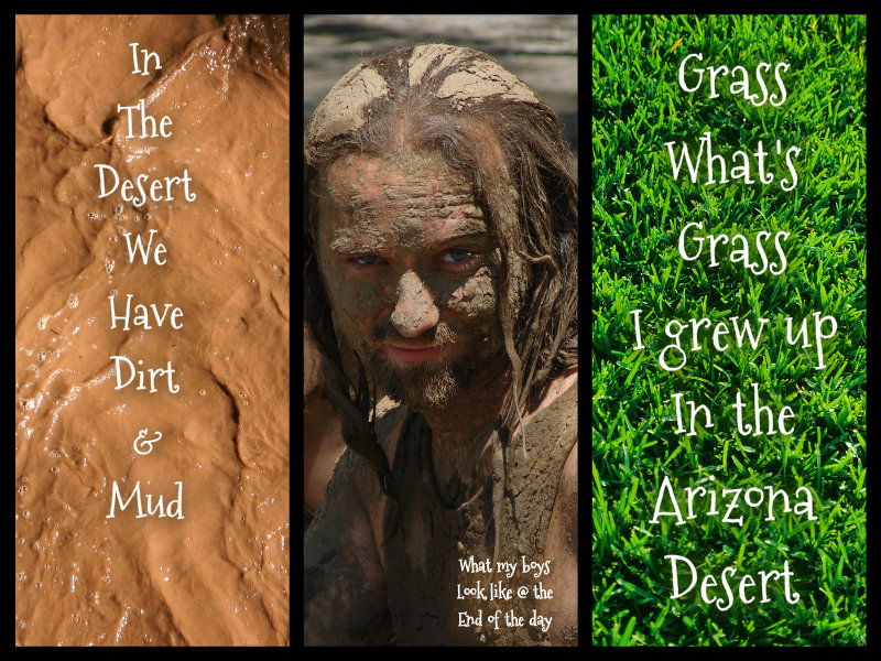 pizap.com10.265588507056236271375115500392