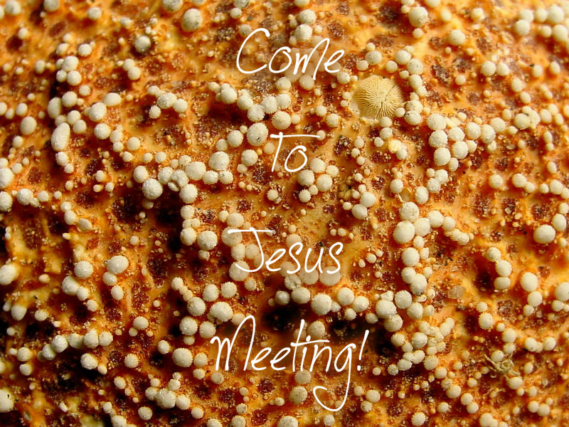 pizap.com10.274146520067006351375931469122