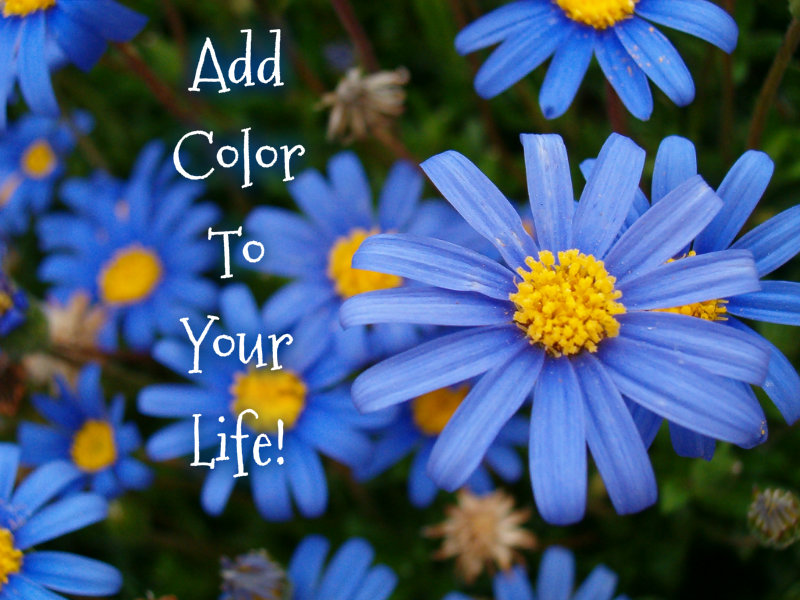 pizap.com10.27741459151729941374962473893