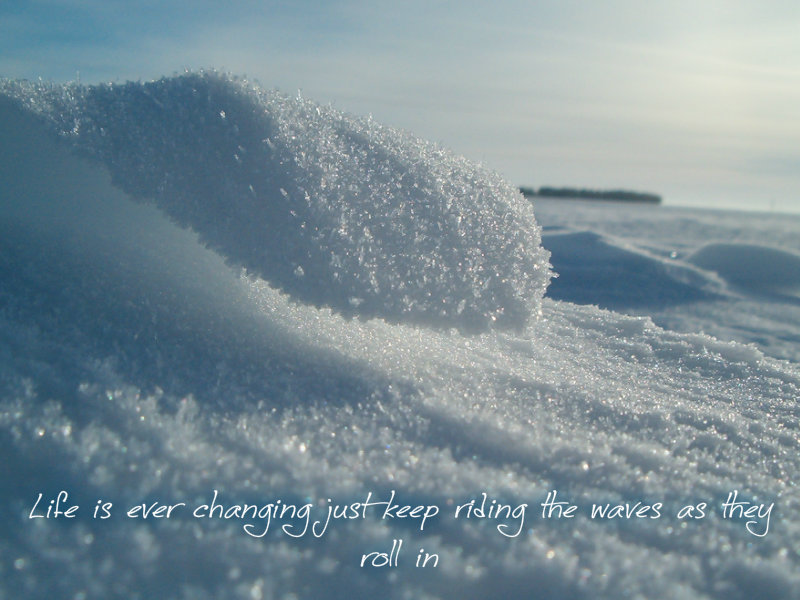 pizap.com10.29587476188316941376504575343