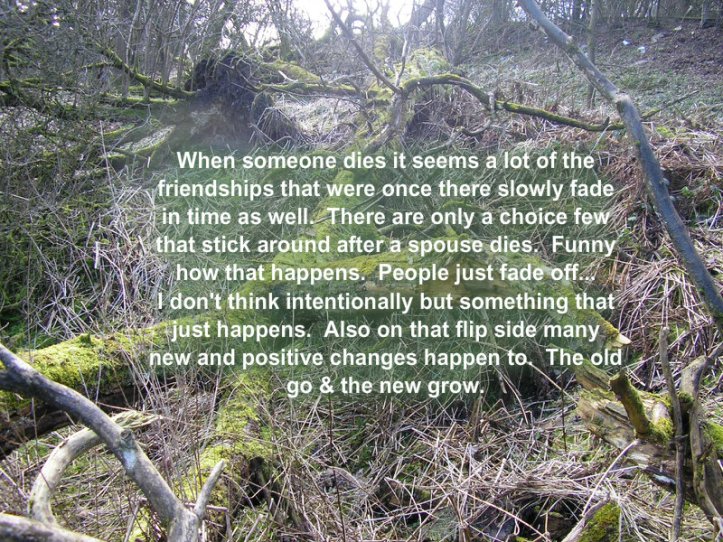 pizap.com10.296669227071106431377448650187