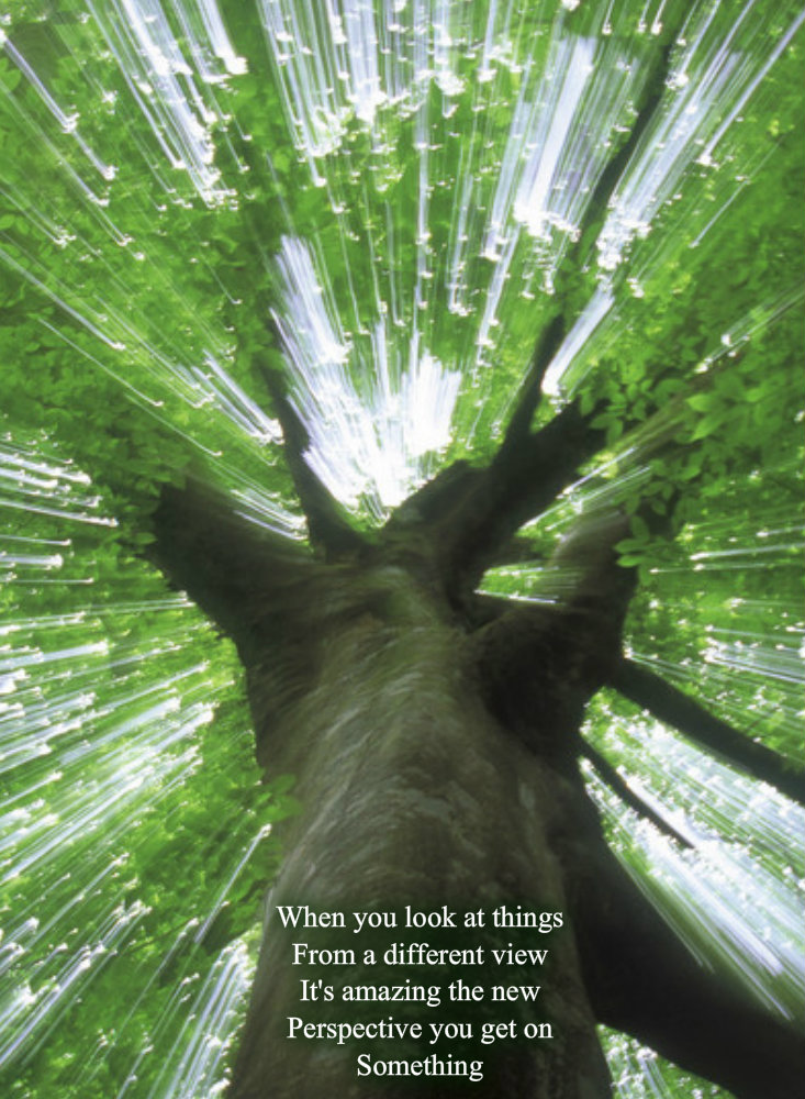 pizap.com10.30070760054513811374444704740