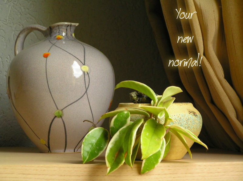 pizap.com10.3024953771382571377381506394