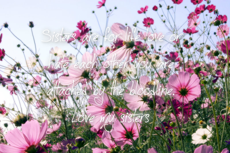 pizap.com10.320879902224987751376711785020