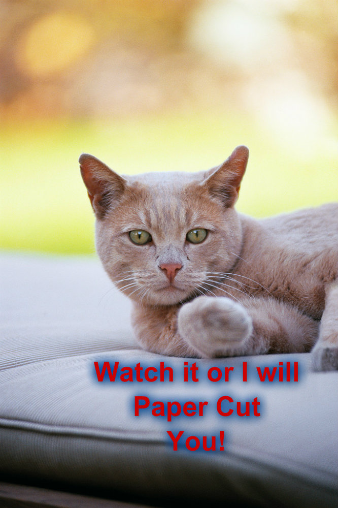 pizap.com10.327048844192177061372819050938