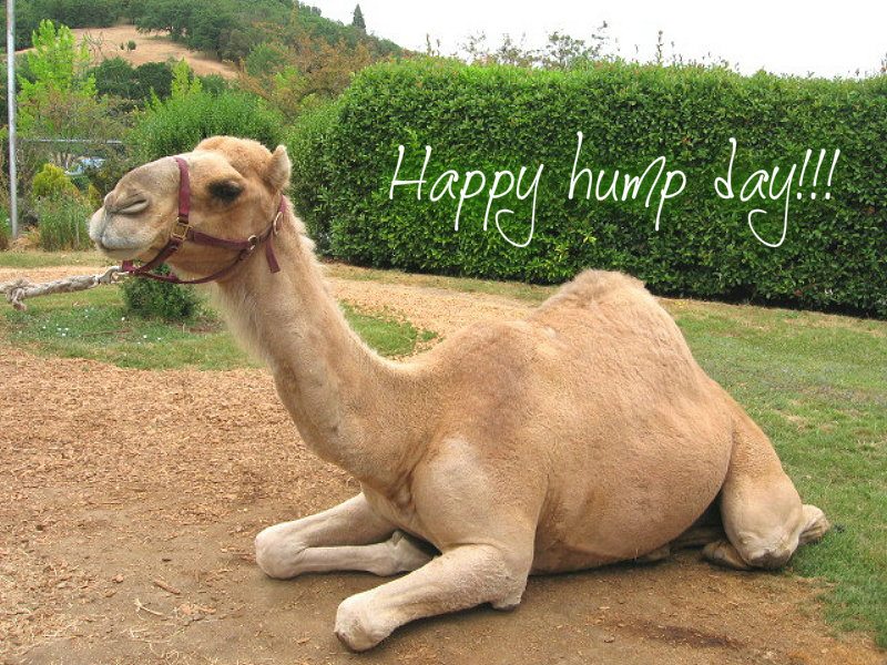 pizap.com10.33480195514857771376500394450