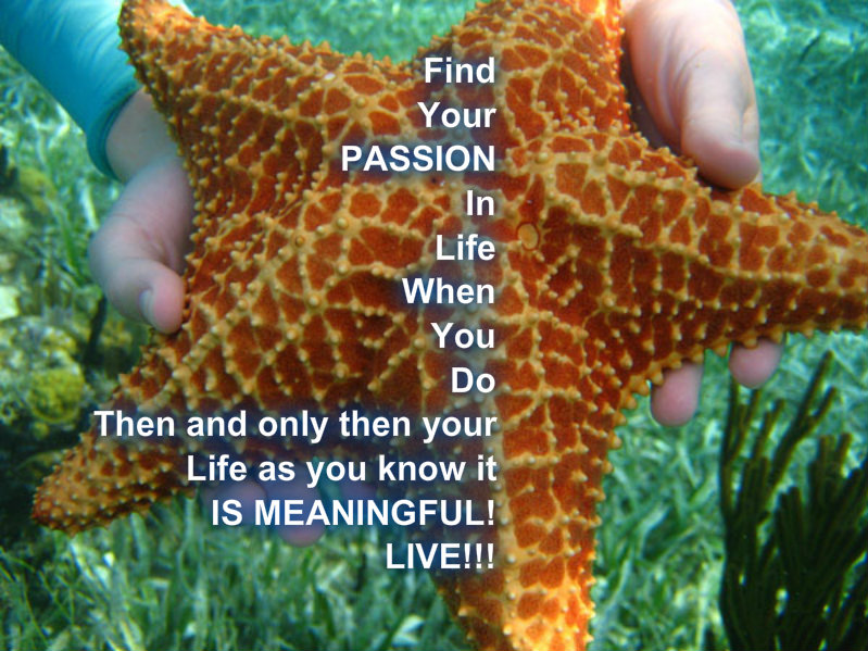 pizap.com10.335535296238958841372610301353