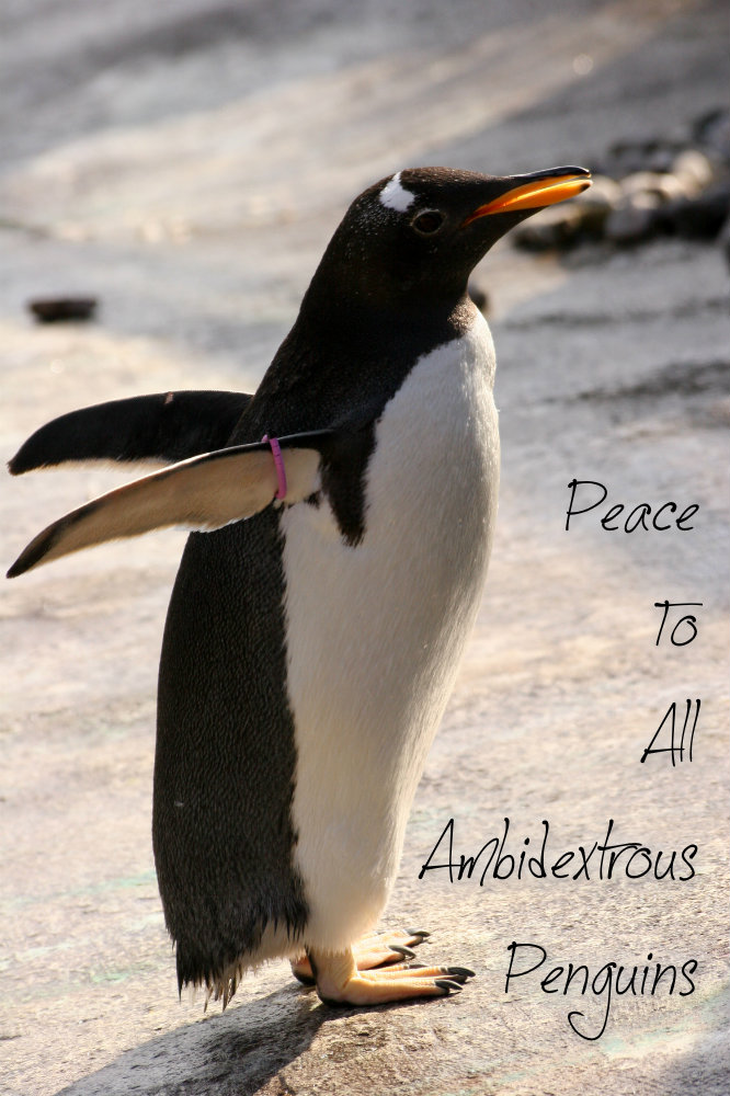 pizap.com10.34000988677144051376176369855