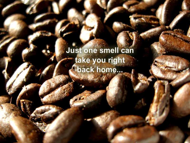 pizap.com10.35240906802937391377371516560