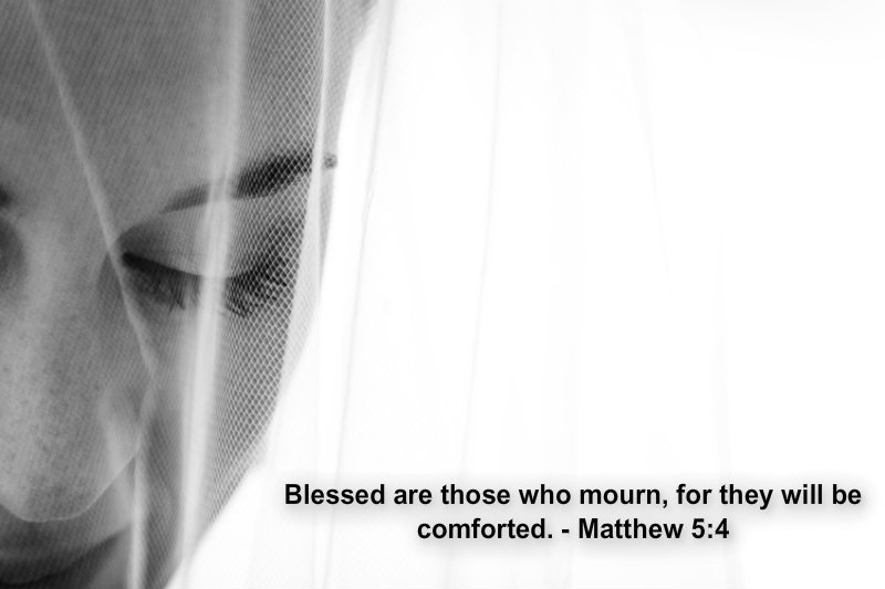 pizap.com10.352462858892977241373641498235