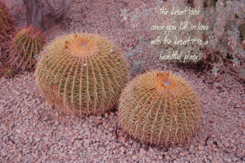 pizap.com10.358979099430143831377445528617