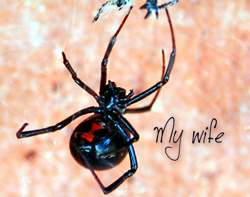 pizap.com10.369149919599294661374465994920