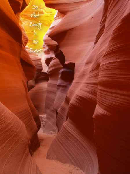 pizap.com10.38975770352408291374443843263