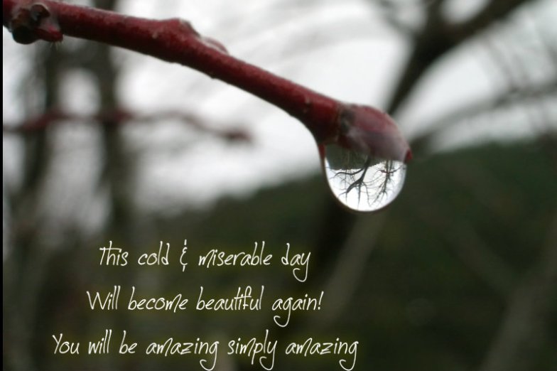 pizap.com10.403179429937154051375810810139